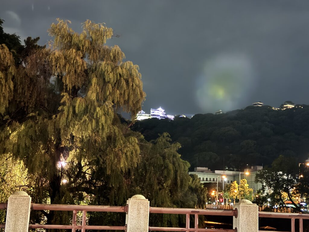 ライトアップされた夜の松山城の遠景