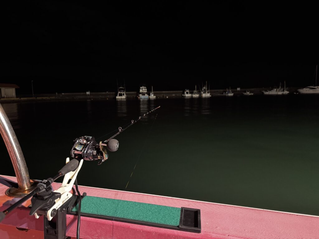 夜の船上でムギイカ釣りをしている竿と海の様子