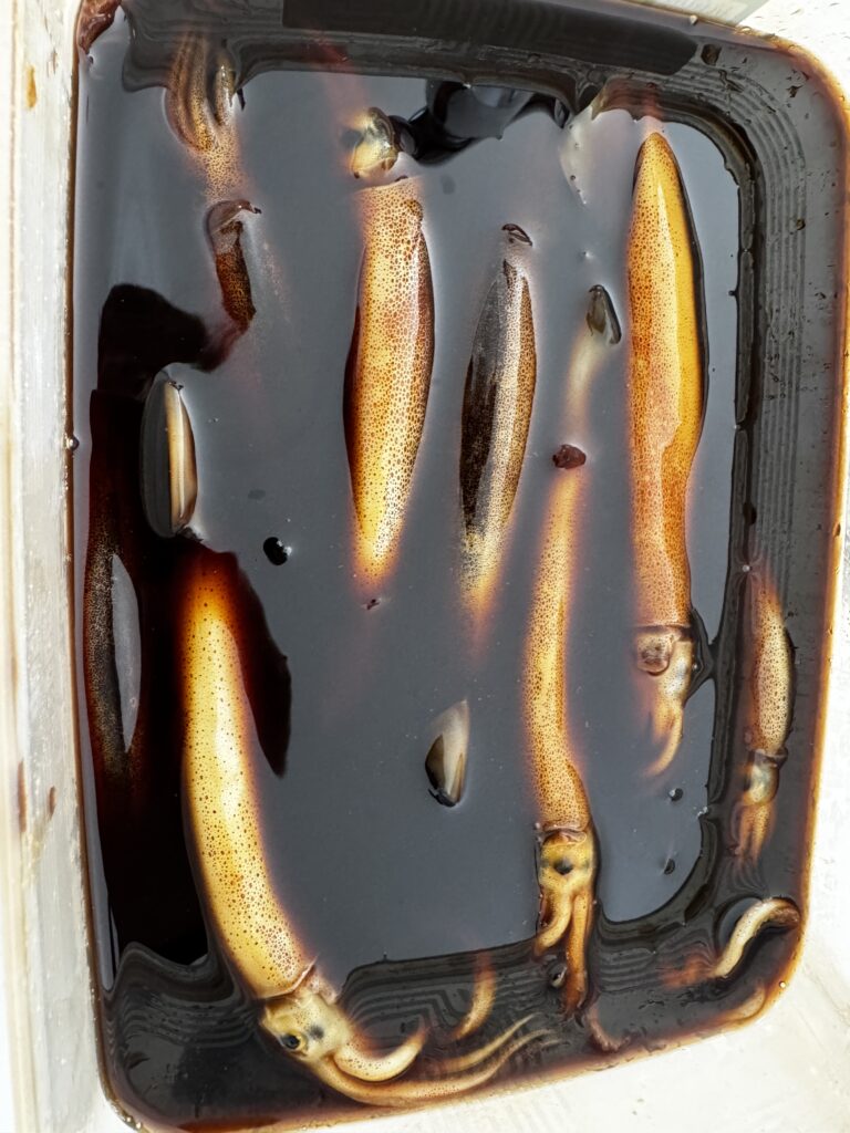 ムギイカを沖漬けにした様子