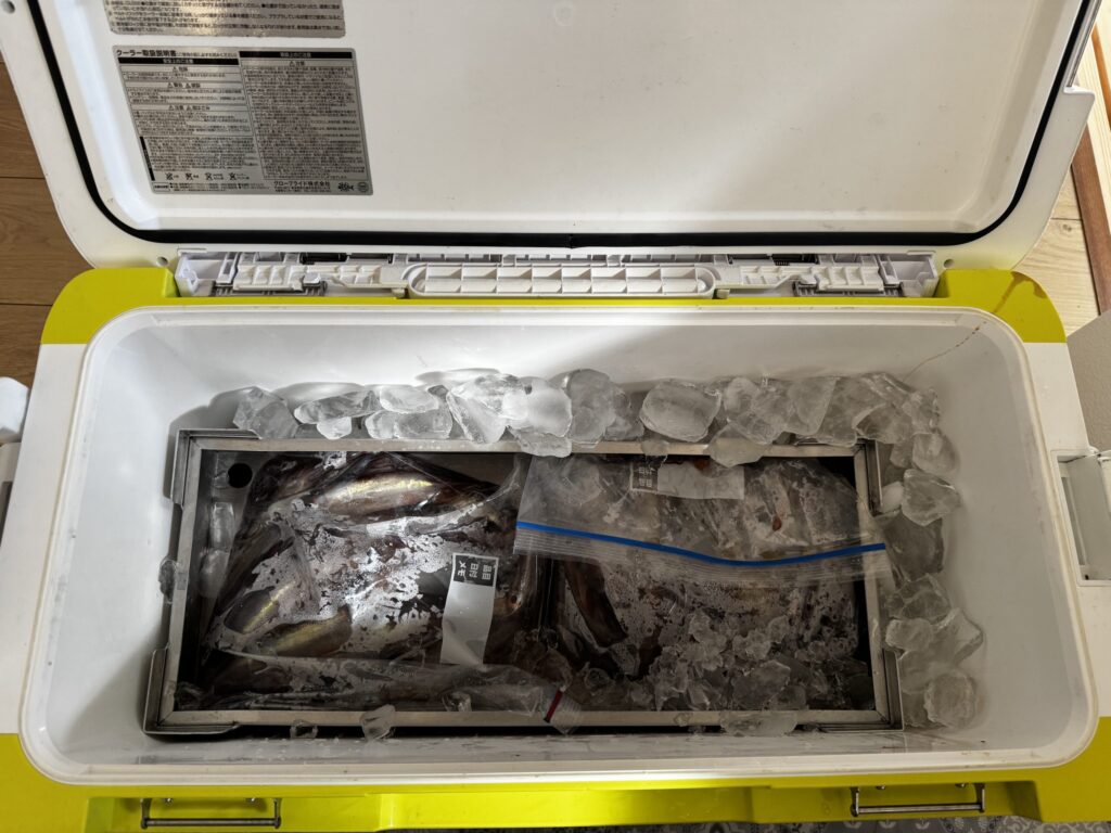 ダイワG-3500クーラーに入れたSUS304製釣り用インナーボックス
